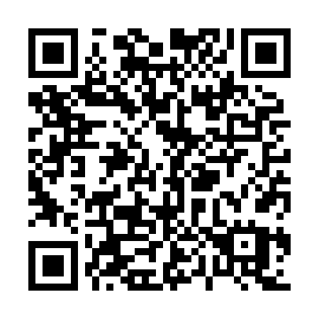 QR code for plate P03-XFU