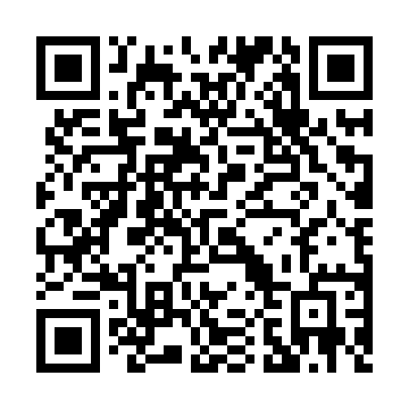 QR code for P04-HQE