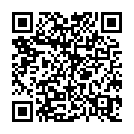 QR code for P07-HZB