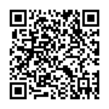 QR code for P09-MDE