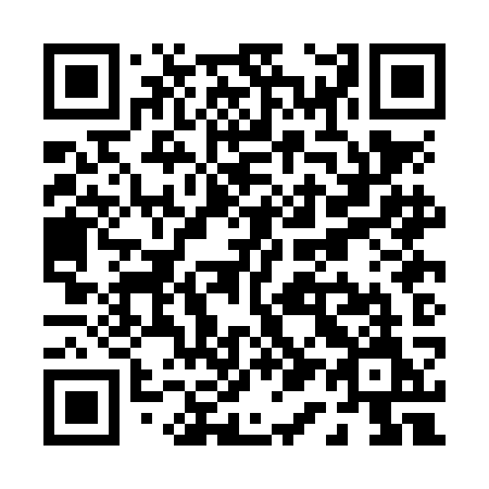 QR code for P10-NKM