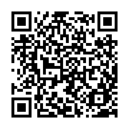 QR code for P10-RYB
