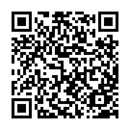 QR code for P10-SMT