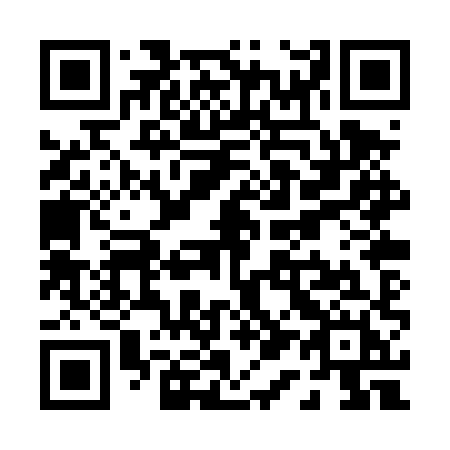 QR code for P10-TXH