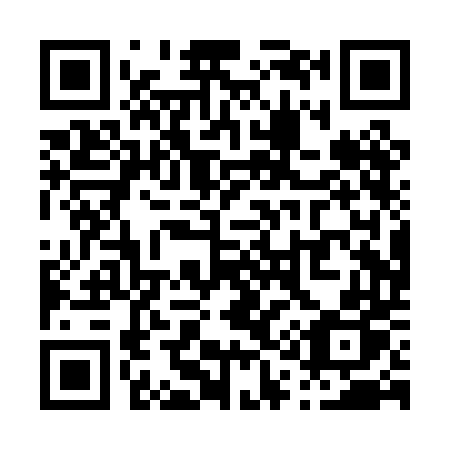 QR code for P10PDP