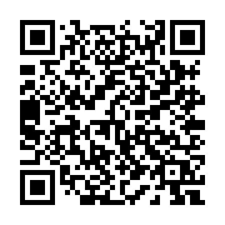 QR code for plate P10-XNP