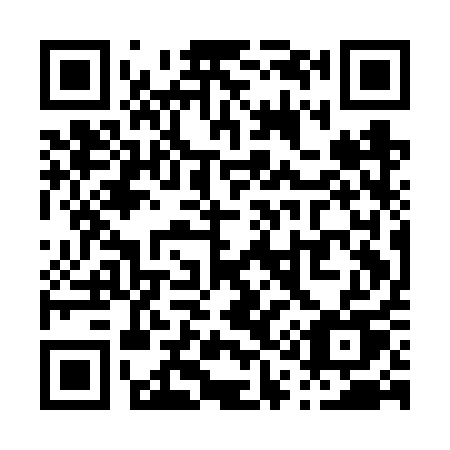QR code for P11-FQU