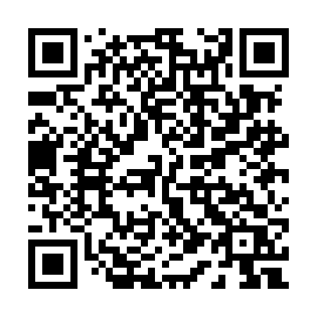 QR code for P11-MFR