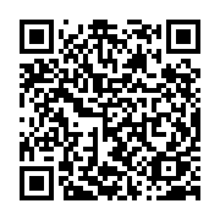QR code for P11-QAP