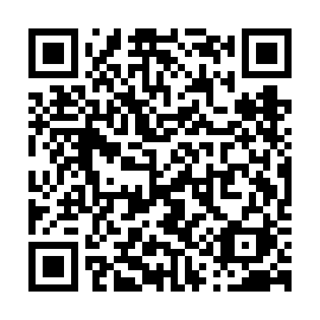 QR code for P11FBI
