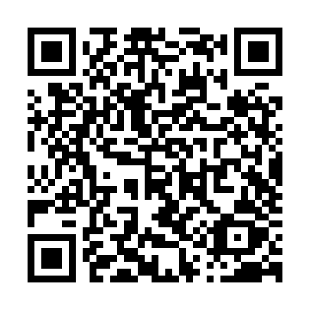 QR code for P12-XZZ