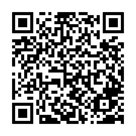 QR code for P12MLV