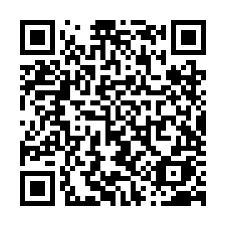 QR code for P12SOH