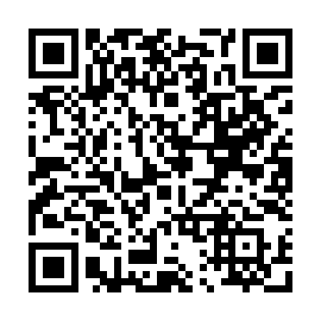 QR code for P13-IIS