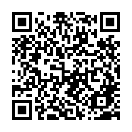 QR code for P13-LLG