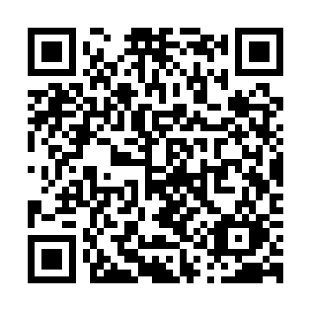 QR code for P13-QSO