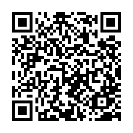 QR code for P13-ULT