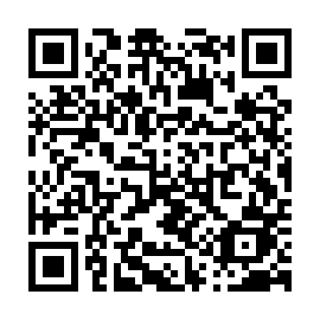 QR code for P13APJ