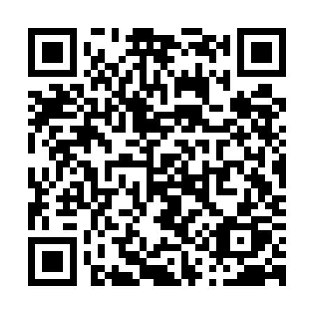 QR code for plate P13-EKP