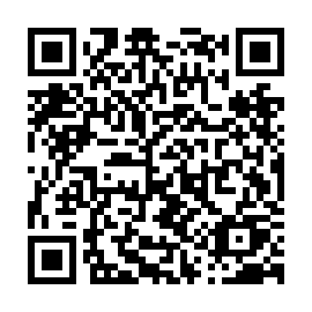QR code for plate P15-NKU