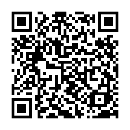 QR code for P16-LFI
