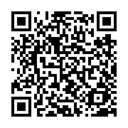 QR code for P16-VZJ