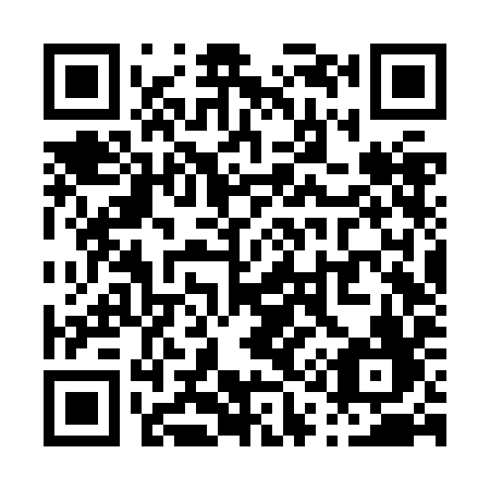 QR code for P16-ZIF