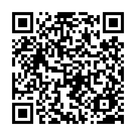 QR code for plate P16-DUG