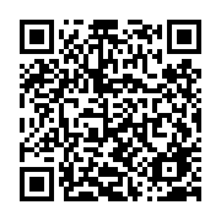 QR code for P17-DPG