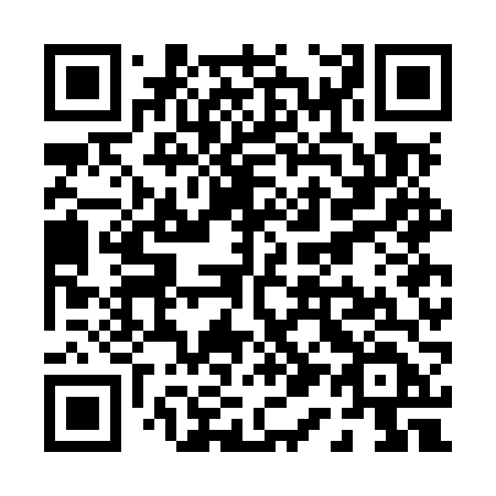QR code for P17MVD