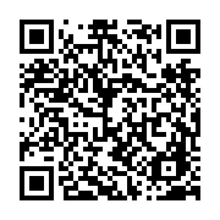 QR code for P18-NFG