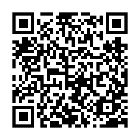 QR code for P18FHS