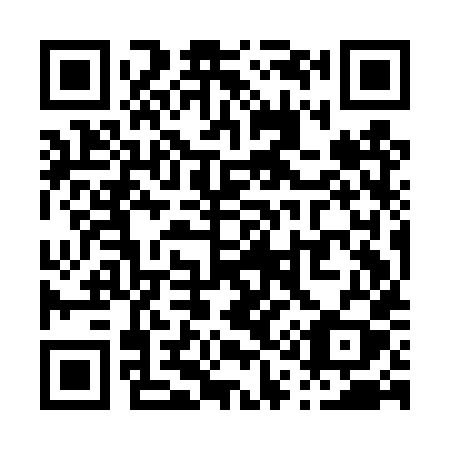 QR code for plate P19-DXY