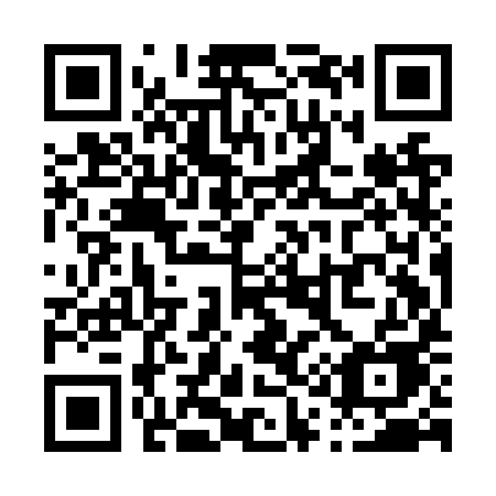 QR code for P19NYE
