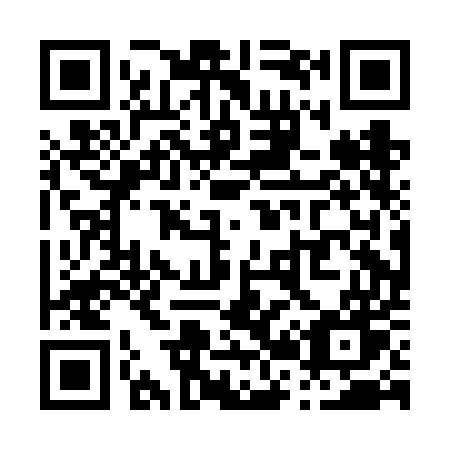 QR code for P20-FEW