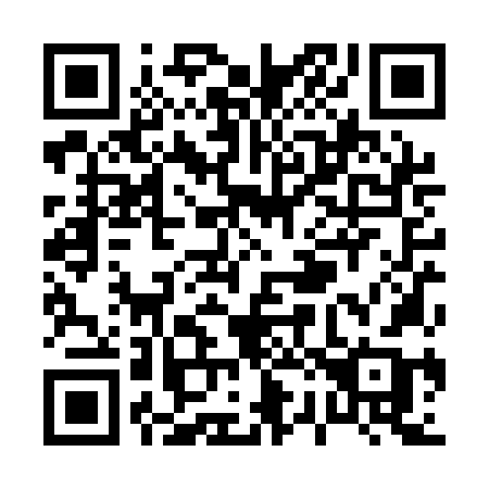 QR code for P20-QNB