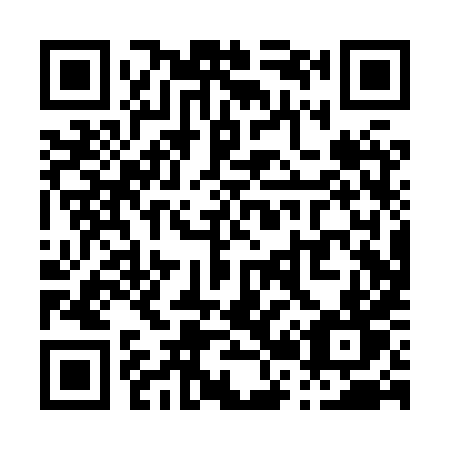 QR code for P20-XXT