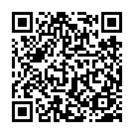 QR code for plate P20-FWR