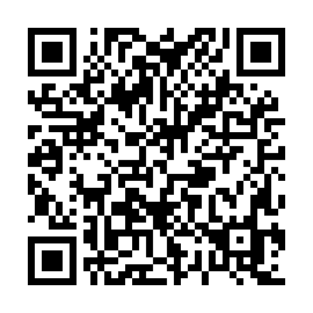 QR code for plate P20-MLO
