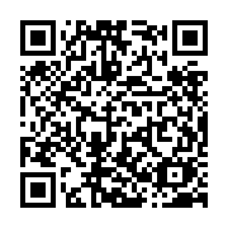 QR code for P21-ZGM