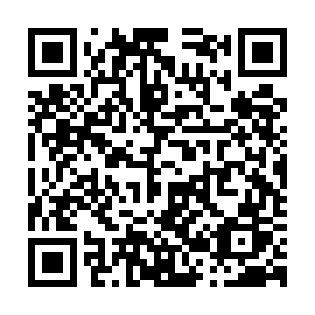 QR code for P22-EGR