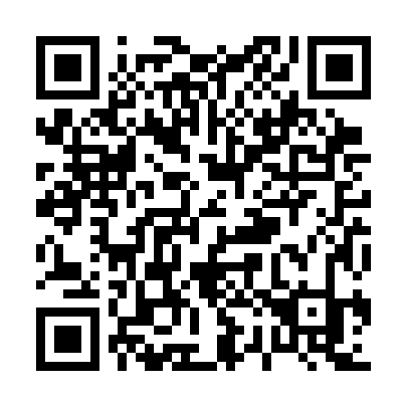 QR code for P22SJK