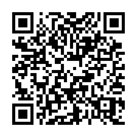 QR code for P25-SAP