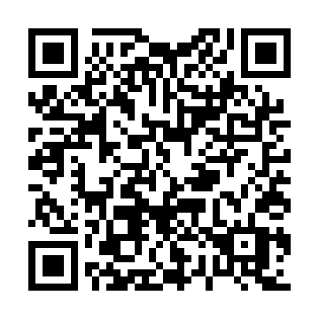 QR code for P25QDT
