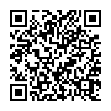 QR code for P27-VIV