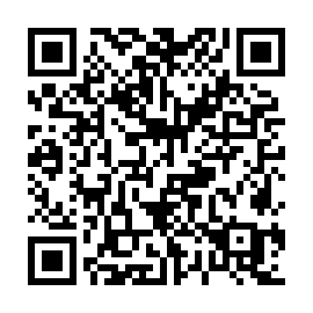 QR code for plate P28-HOA