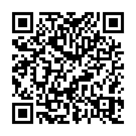 QR code for P29-AGS