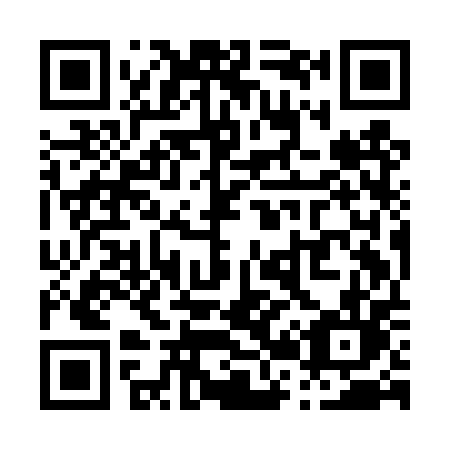 QR code for P29-DPL