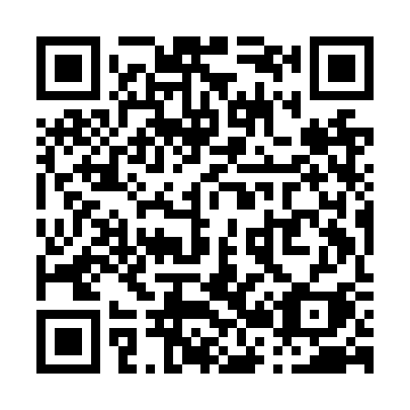 QR code for P29-NSI