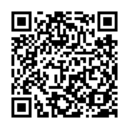 QR code for P29-VYI